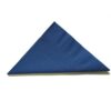 Napkin Dark Blue Lunch 2ply