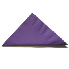 Napkin Purple Lunch 2ply